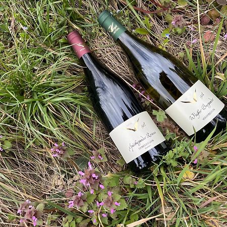 Weingut & Strausswirtschaft Vogel Apartment Vogtsburg Ngoại thất bức ảnh