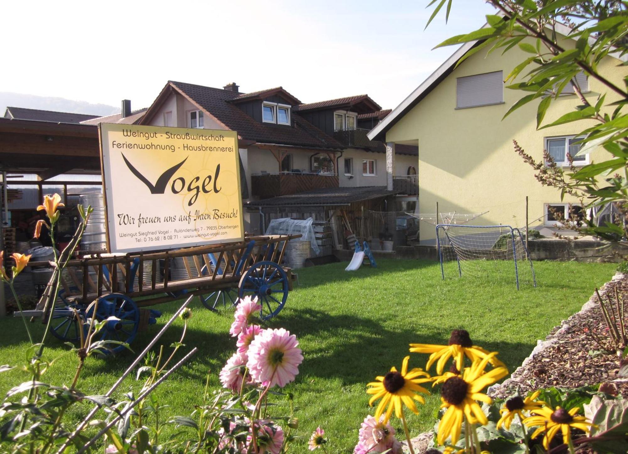 Weingut & Strausswirtschaft Vogel Apartment Vogtsburg Ngoại thất bức ảnh