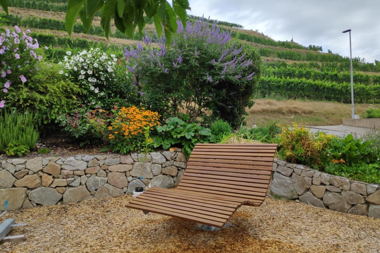 Weingut & Strausswirtschaft Vogel Apartment Vogtsburg Ngoại thất bức ảnh