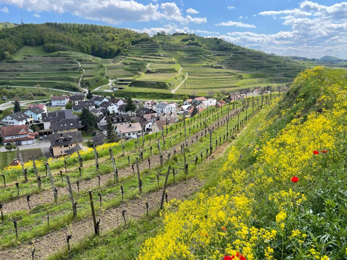 Weingut & Strausswirtschaft Vogel Apartment Vogtsburg Ngoại thất bức ảnh