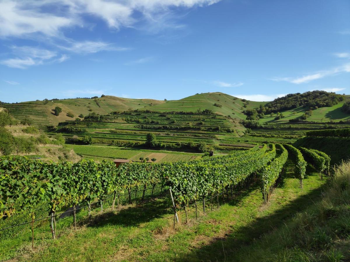 Weingut & Strausswirtschaft Vogel Apartment Vogtsburg Ngoại thất bức ảnh