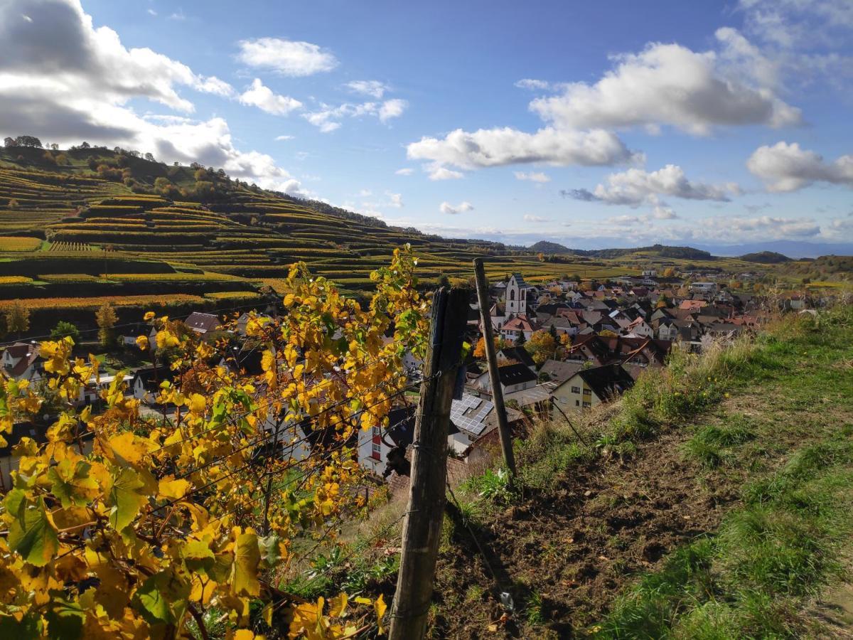 Weingut & Strausswirtschaft Vogel Apartment Vogtsburg Ngoại thất bức ảnh
