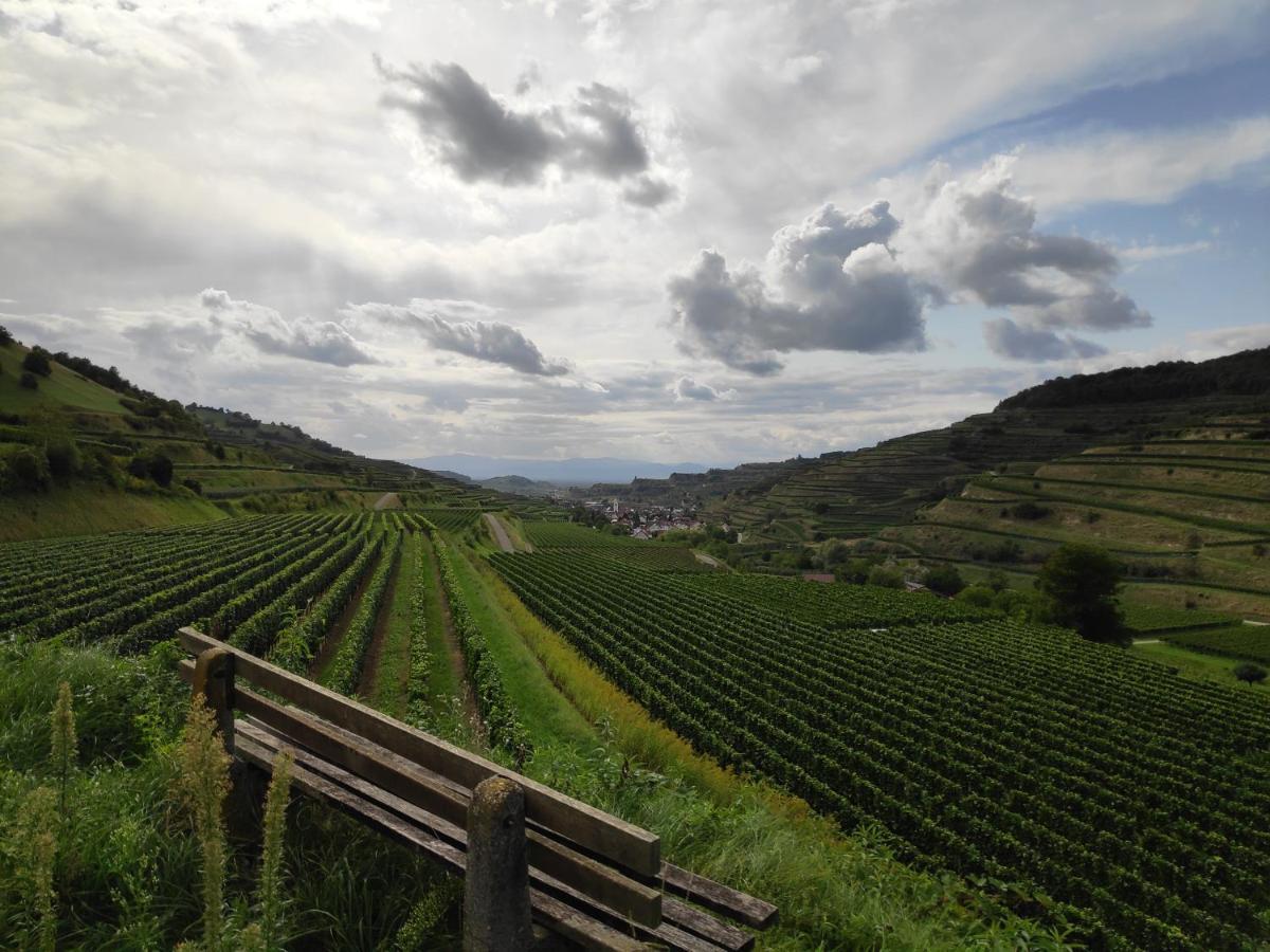 Weingut & Strausswirtschaft Vogel Apartment Vogtsburg Ngoại thất bức ảnh