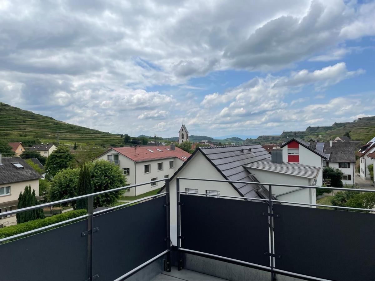 Weingut & Strausswirtschaft Vogel Apartment Vogtsburg Ngoại thất bức ảnh