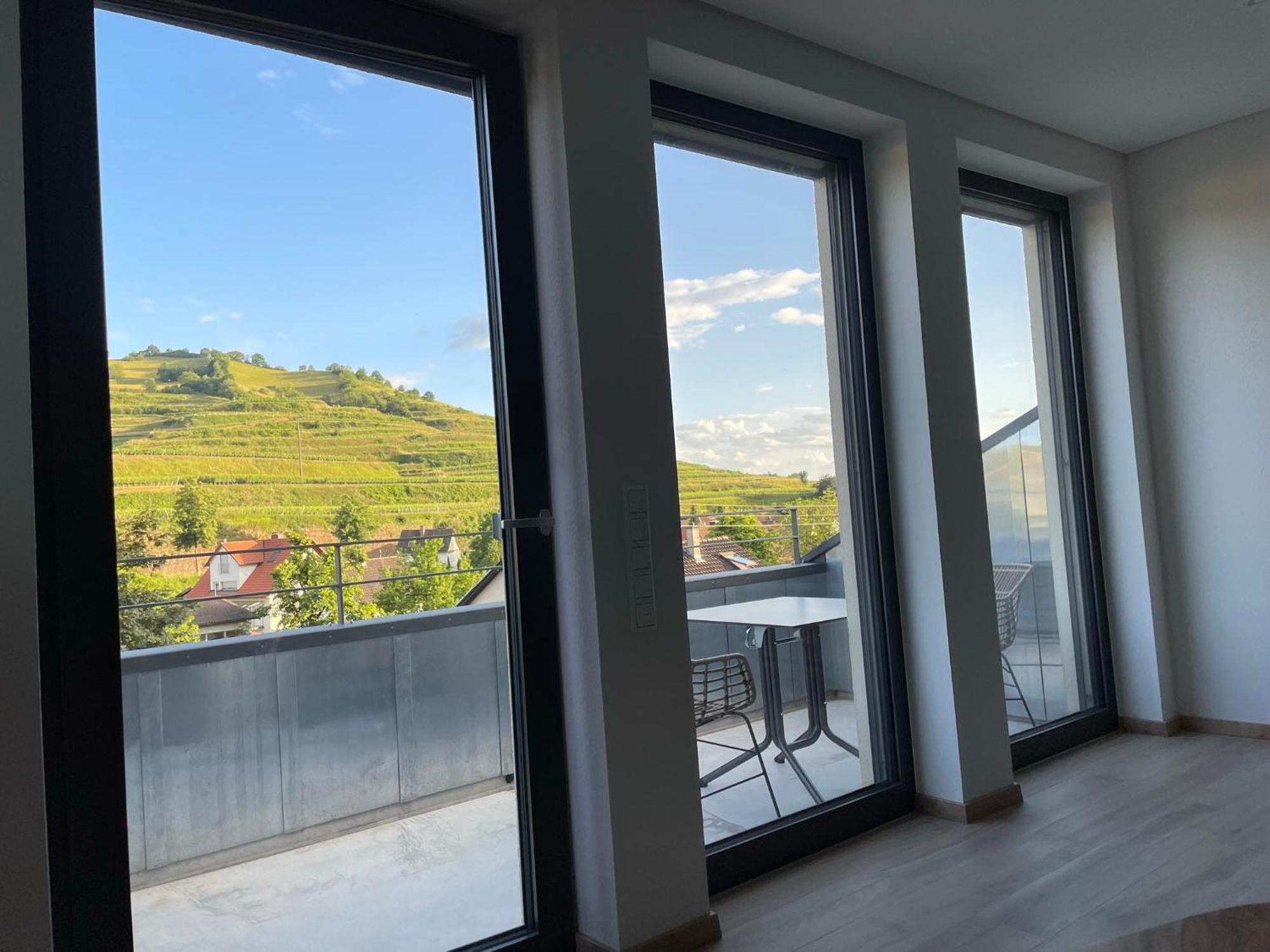 Weingut & Strausswirtschaft Vogel Apartment Vogtsburg Ngoại thất bức ảnh