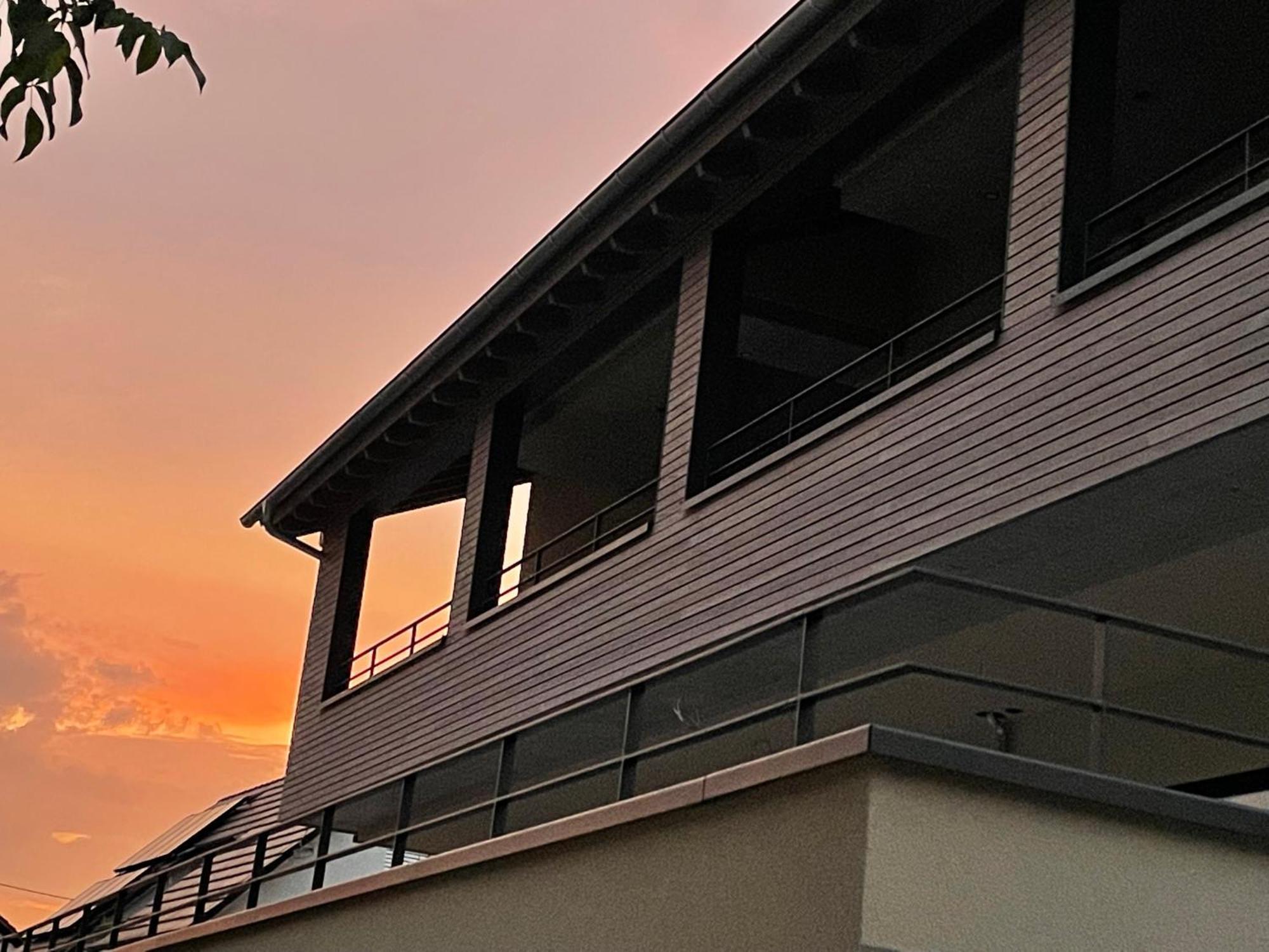 Weingut & Strausswirtschaft Vogel Apartment Vogtsburg Ngoại thất bức ảnh