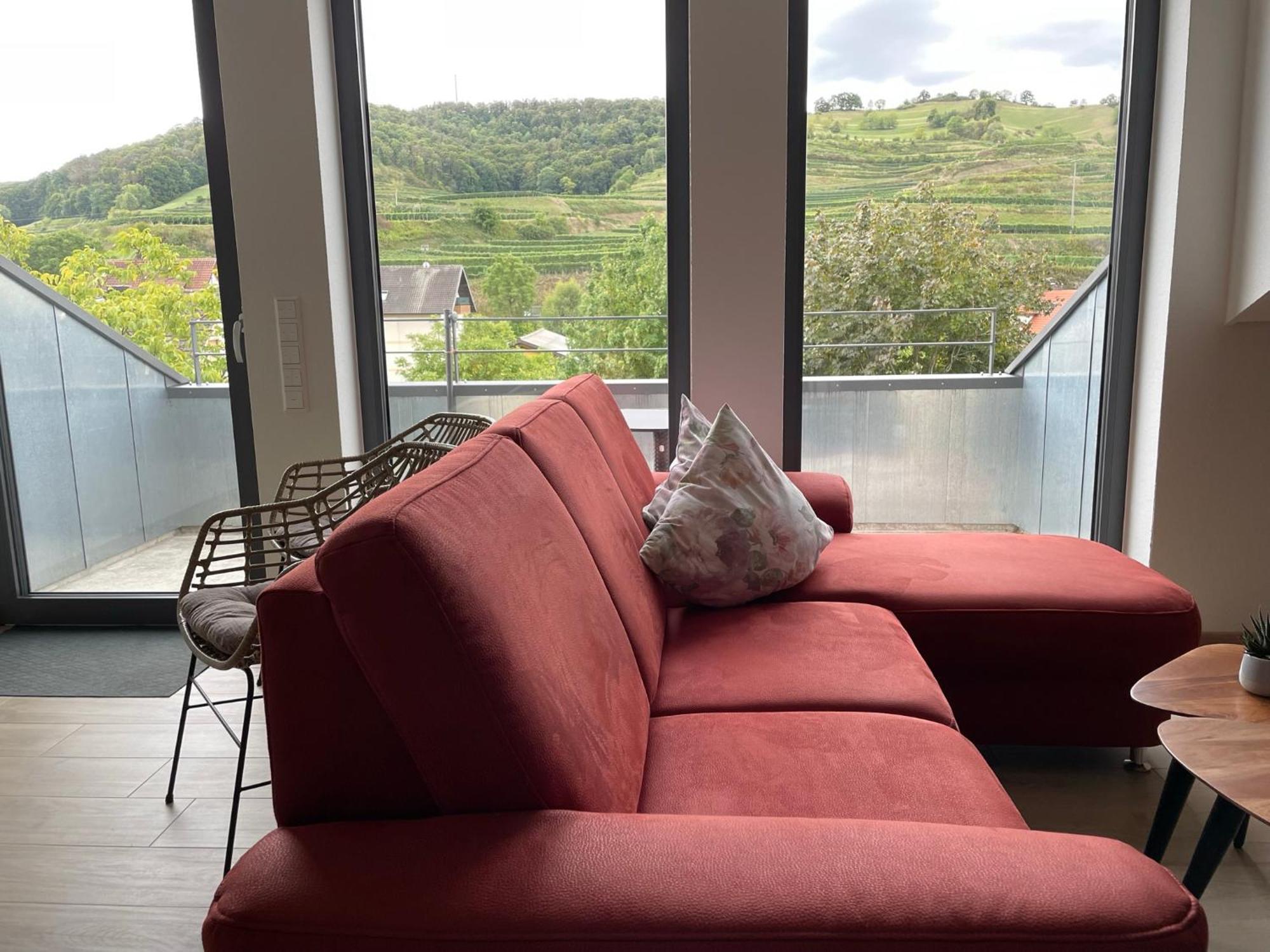 Weingut & Strausswirtschaft Vogel Apartment Vogtsburg Ngoại thất bức ảnh