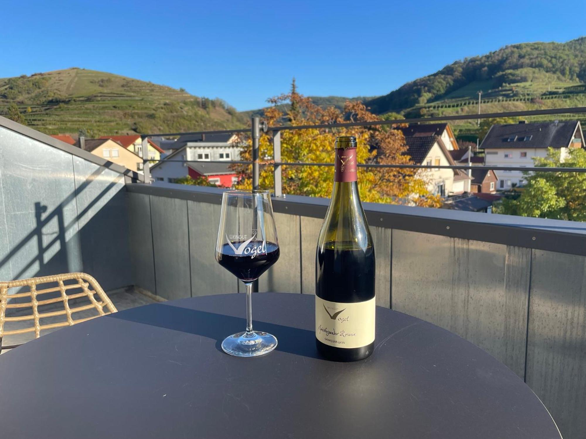 Weingut & Strausswirtschaft Vogel Apartment Vogtsburg Ngoại thất bức ảnh
