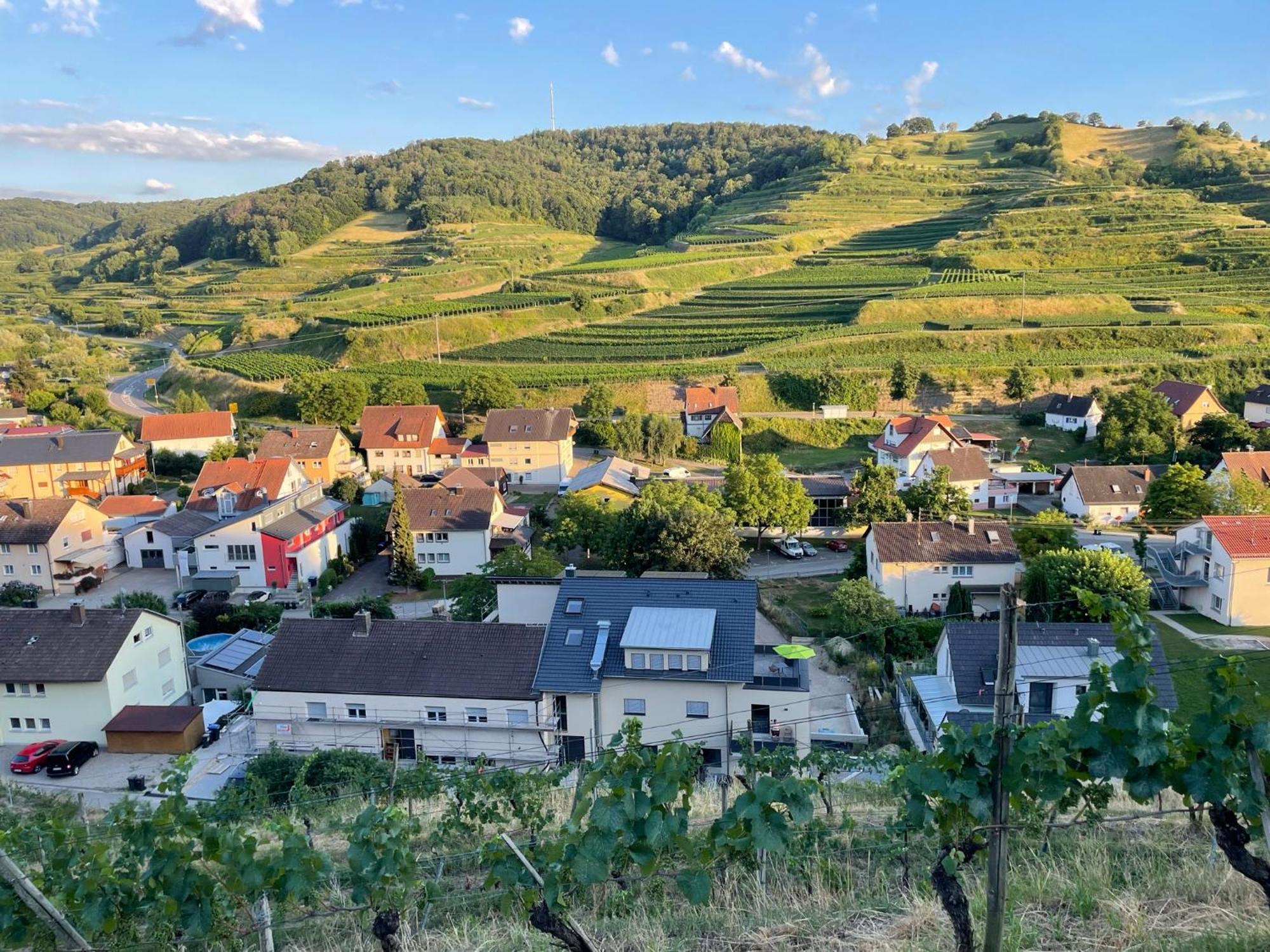 Weingut & Strausswirtschaft Vogel Apartment Vogtsburg Ngoại thất bức ảnh
